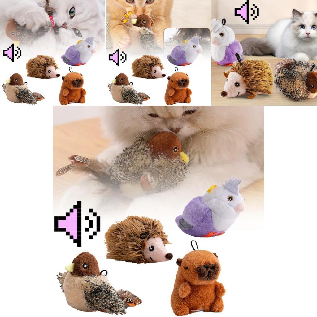 Plüsch klingendes Katzenspielzeug Interaktives Bewegungsaktiviertes Vogel Igel und Wasserschwein für Katzen