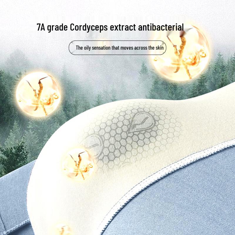 Pierre Cardin Herren Lyocell Tencel Antibakteriell Nahtlose Boxershorts