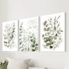 3pcs/set Green Color Plant Leaf  Art Oil Painting Canvas with Wood Frame Draw Wall Decor Home Decorations