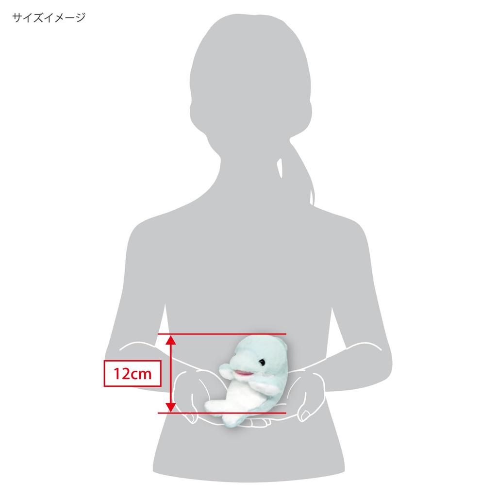 San-Ei Boeki Kyunkoro Dolphin W10×D12×H12cm Plush Toy