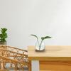 2pcs Hydroponics Glass Vase with Wooden Tray Bud Vases Plant Propagation Station Flower Vase for Bedroom Home Table Decoration