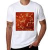 Petroglyphs on newspaper rock at Canyonlands national park Tshirt quick drying boys animal print sweat shirts men