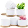FaceColor Ceramic Succulent Cactus Houseplant Suitable for Mini Home Office with and Bottom Set Not Pots, Pots, Pots, Plants, Decor, Balcony, Gift,