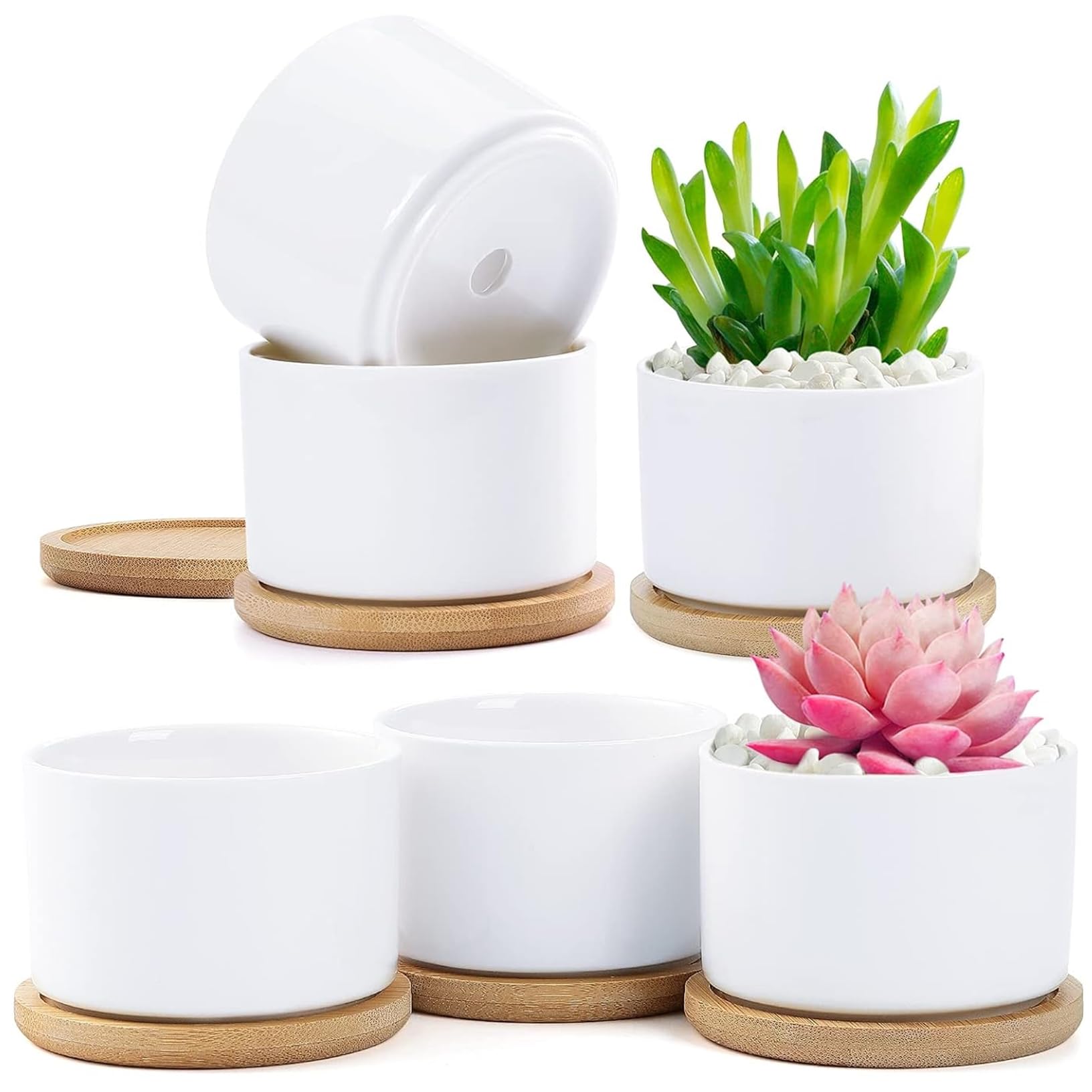 

FaceColor Ceramic Succulent Cactus Houseplant Suitable for Mini Home Office with and Bottom Set Not Pots, Pots, Pots, Plants, Decor, Balcony, Gift,