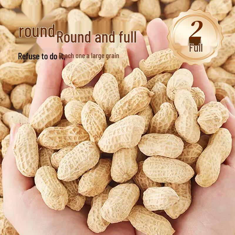 Qiaojishi Longyan Boiled & Dried Peanuts