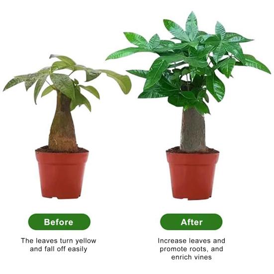 30 Pcs Plant Fertilizer Spikes Slow Release Nutrition Bars Planter Insert Fertilizer Sticks for Indoor Flower And Foliage Houseplants