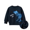 27kids Korean Dinosaur Cartoon Hoodie: Autumn/Winter 2024 Velvet Children's Clothing