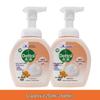 Dettol Grapefruit Fresh Foam Hand Wash - 2x250ml Combo