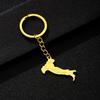 Stainless Steel Ethnic Keychain Pendant for Men & Women - Italian Drip Oil Finish, Versatile Accessory.