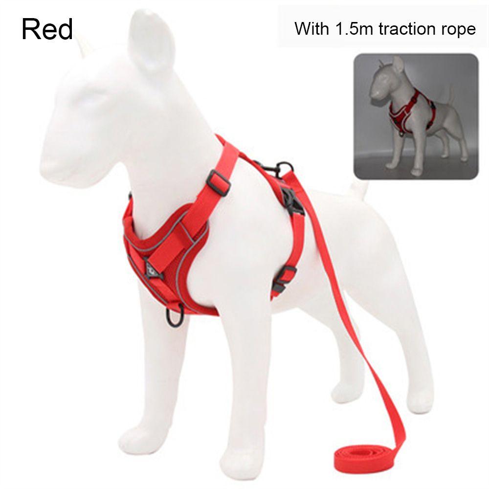 extra small dog accessories