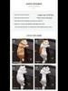 Creative Pet Cat Figurine: Home Decor & Children's Toy