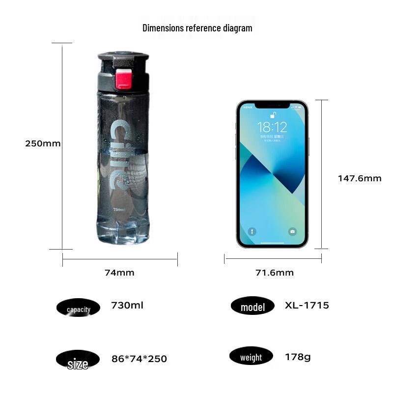 Cille Portable Water Bottle with Handle