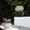 Hemispherical Ceramic Vase with Prickly Flower Pot Table Decoration Flowers Arrangement Floral Vases Room Aesthetic Decor