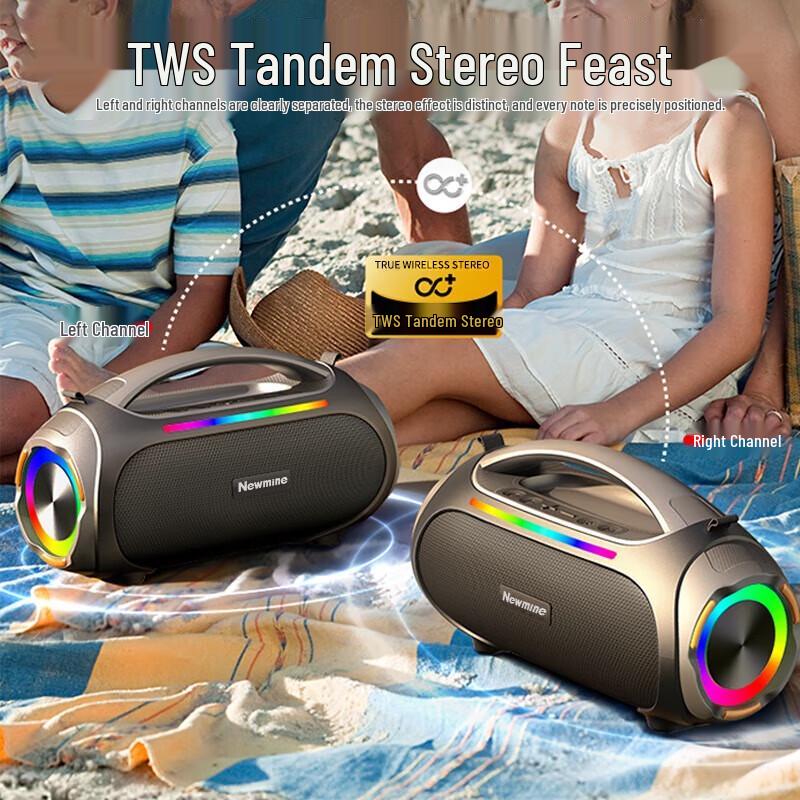 Newmine N515 High-Power Outdoor Portable Bluetooth Speaker
