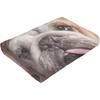 English Bulldog Dog Brown Couch Blanket for Kids Adults Women,Soft Fleece Throw Blanket Cozy Bed Blankets King Size for Couch Bed Travel Camping