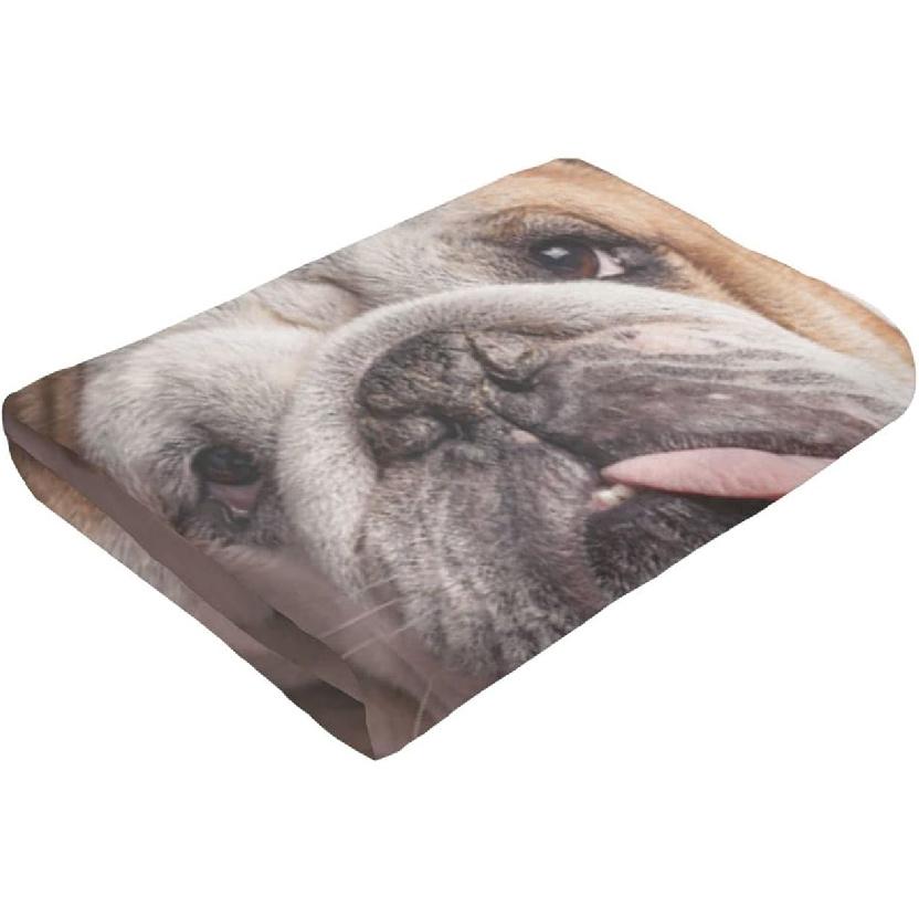 English Bulldog Dog Brown Couch Blanket for Kids Adults Women,Soft Fleece Throw Blanket Cozy Bed Blankets King Size for Couch Bed Travel Camping