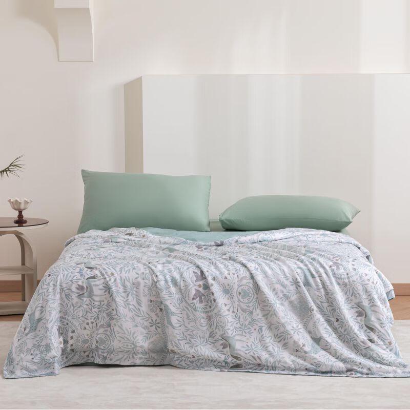 

Canhua Niangniang Mulberry Silk Summer Quilt
