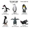 Kids' Arctic Animal Model Set: Polar Bear, Arctic Hare, Reindeer & Beluga Whale