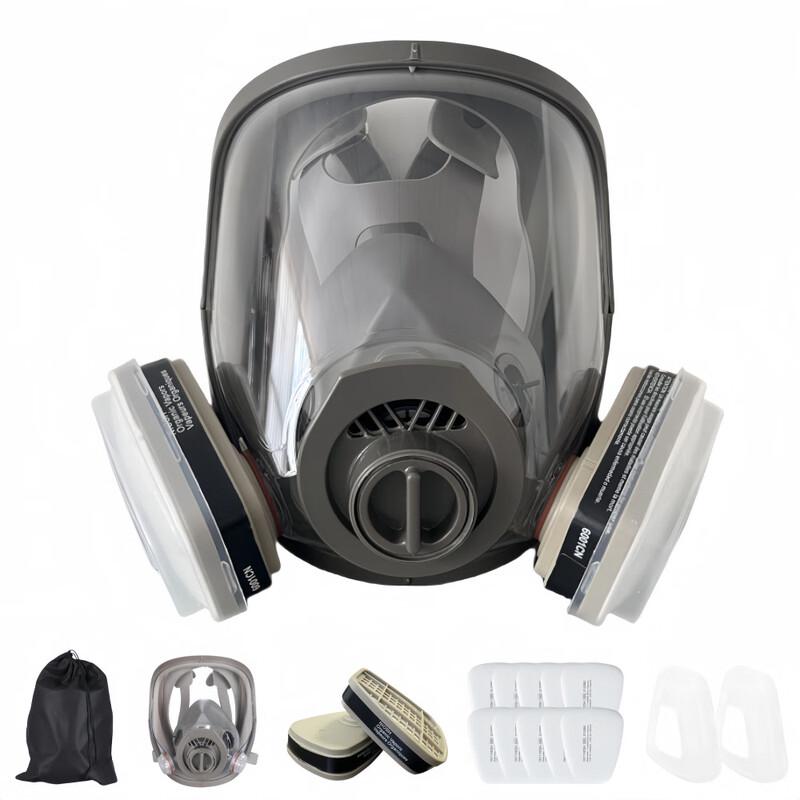 Brangdy 6800 Full Face Respirator Mask Kit One Size