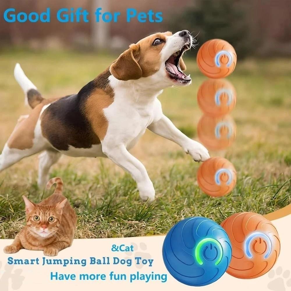 Bite Resistant Interactive Pet Toy Gravity Jump Automatic Rolling Ball Electronic Pet Toy Training