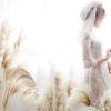 Pampas Grass 60 Cm Natural Dried Flower Decorative Dried Flowers Artificia