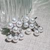 Elegant Zircon Pearl Ear Clip: High-End, No Hole Design for Fashionable, Exquisite Style