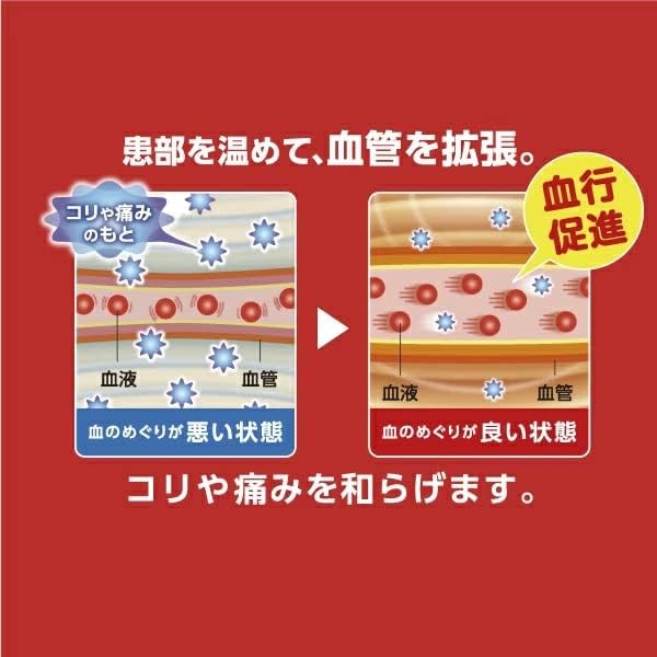 Hisamitsu Pharmaceutical Heating Device Direct S 12 Sheets x 3 Heating Relieves Stiff Shoulders and Lower Back Pain [Summary] Adhesive, Size, Packs,