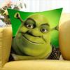 Cartoon S-Shrek Movie Various Sizes Square Pillow Case For Car Home Bedchamber Decor