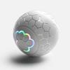 Smart Dog Interactive Toy Ball Electronic Pet Toy Ball USB Automatic Bouncing Rolling Toy Ball With RGB Lights Puppy Cat Product