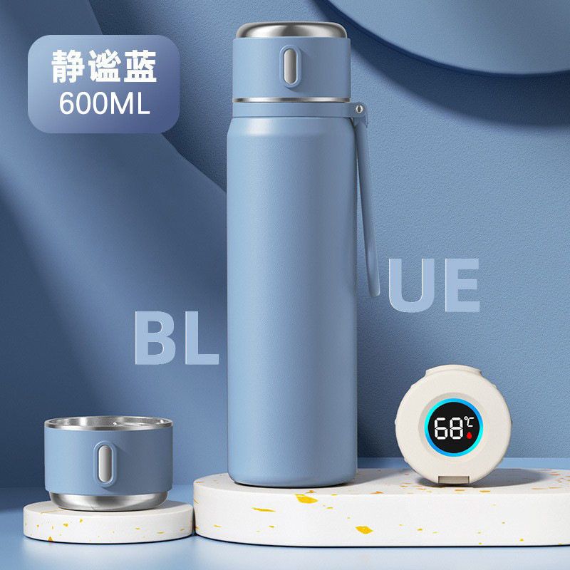 Large-Capacity Thermos Cup for Women, High Aesthetic Value, 2025 New Model, Portable Tea Brewing Cup for Male Students, 316 Stainless Steel Water Cup