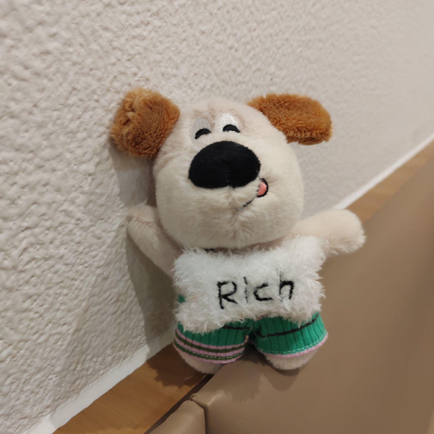 

Cute And Plush Dog Keychain With Soft Filling Ideal For Collectible Plush Enthusiasts Toy Rich