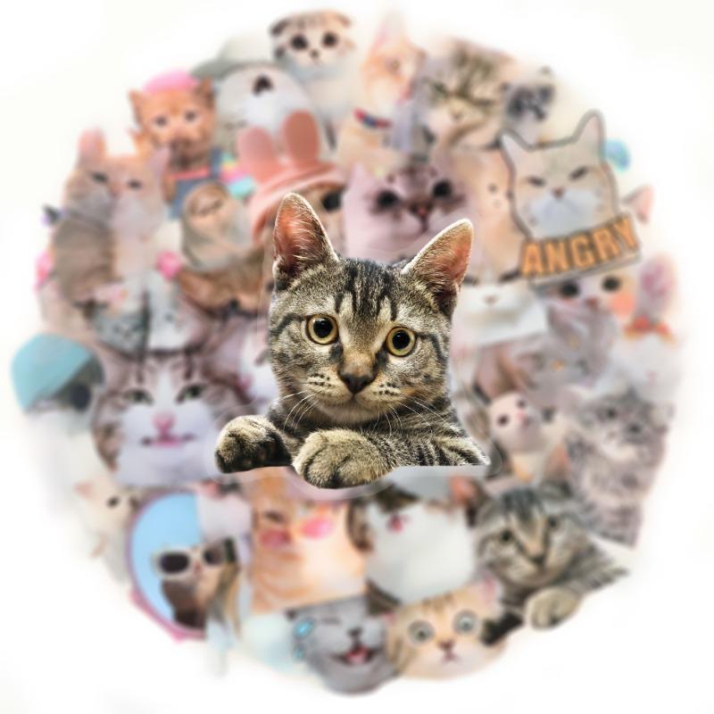 50pc/set Sweet INS Kitten Scrapbook Sticker Transparent Kawaii Cat Journaling Background Sticker DIY Decor Guitar Laptop Sticker
