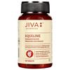 Jiva Equiline Tablets 500mg | Ayurvedic Herbal Supplement for Mind Clarity & Energy Support | 120 Tablets  X Pack of 2
