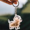 Pet Hair Souvenir Collection Keychain Key Holder Goodie Bag Stuffers Supplies for Versatile Party Gift Essentials