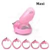 High-quality HT V5 Chastity Cage Male Click Lock Penis Ring Device/Belt Chastity Inescapable Extreme Sex Toys for Men Gay 18+