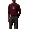 Calvin Klein Comfortable Versatile Layered Letter Pattern Fashion Sweatshirt Men sweatshirt 4RE270G-XV6