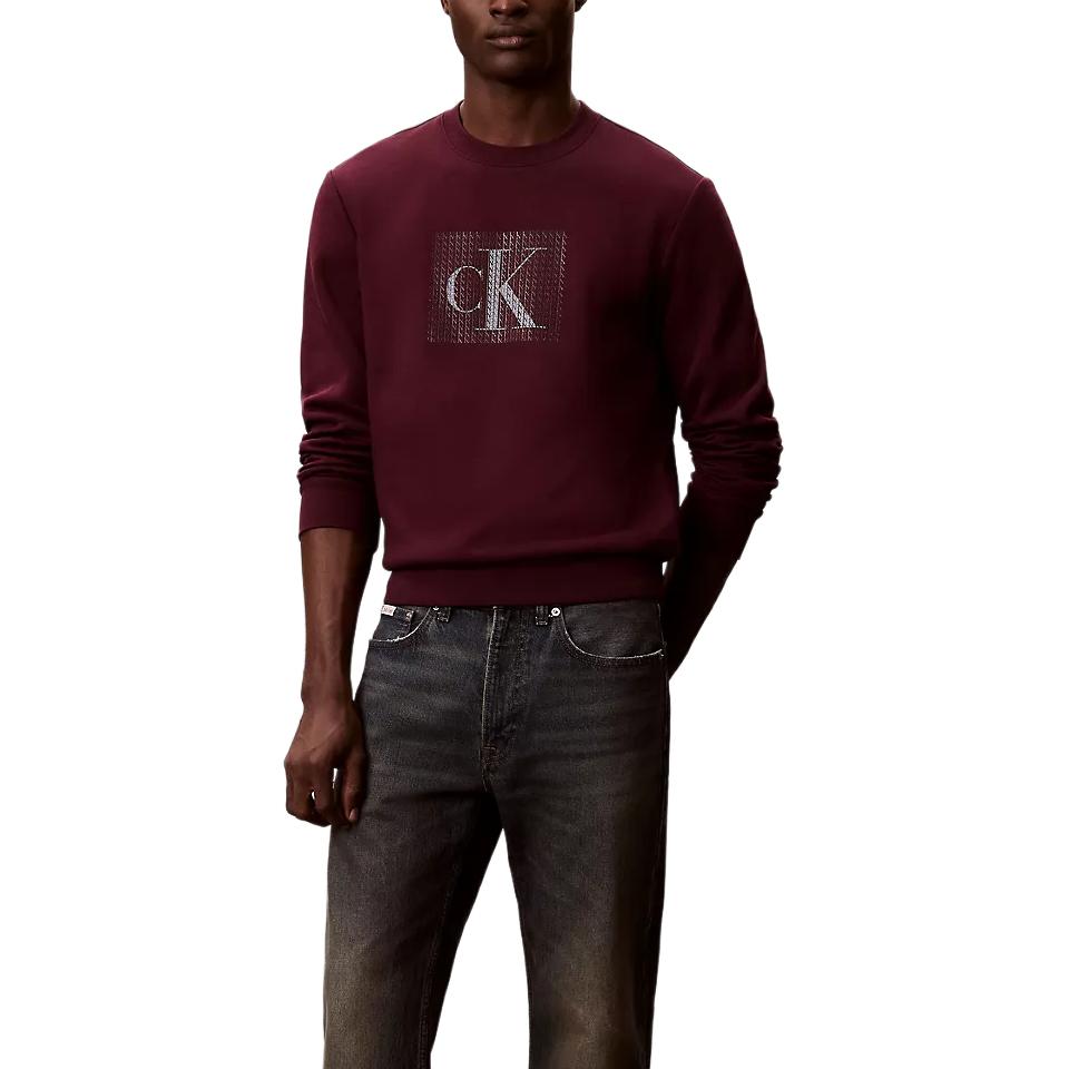 Calvin Klein Comfortable Versatile Layered Letter Pattern Fashion Sweatshirt Men sweatshirt 4RE270G-XV6