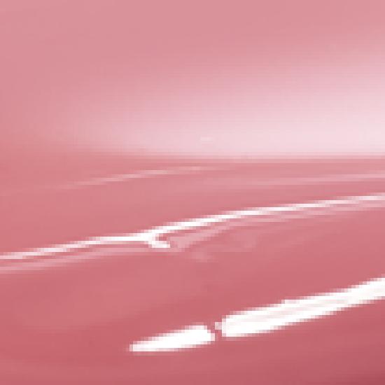 Peripera Water Bear Tint 3.7g 9 Types