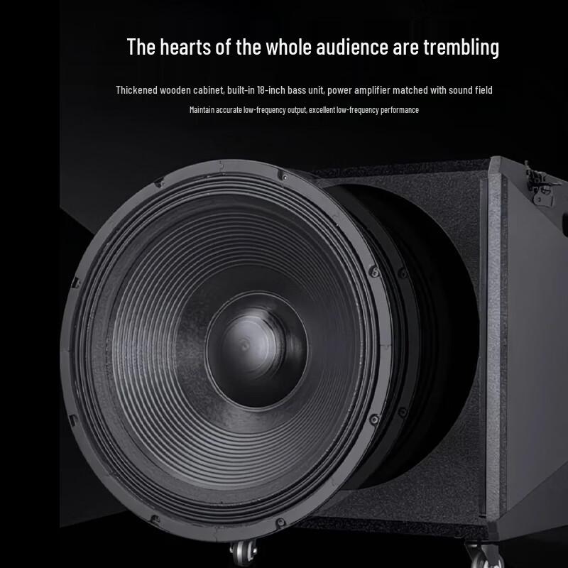 Xunwei Professional Portable Active PA Speaker with Microphone (CN Version)