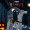 Kostium Halloweenowy dla Zwierząt Przebranie Rycerza dla Psów Kotów - Czarny Regulowany Rozmiar S M L