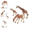 Realistic Pvc Giraffe Family Models For Collectors And Decor Featuring Three Unique Styles