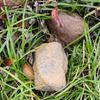 Hidden Creative Fake Rock Outdoor Garden Simulated Stone Spare Key Storage Box Sight Diversion Hiding Stash For Home Rv Key Safe