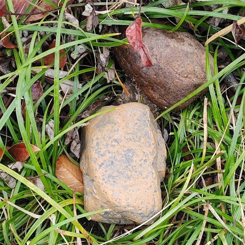 Versteckte Kreative Felsen-Attrappe Outdoor-Garten Simulierte Stein-Ersatzschlüssel-Aufbewahrungsbox Sichtschutz-Versteck Für Haus Wohnmobil Schlüsselsafe