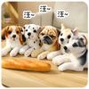 Doll Pp Cotton Household Artificial Dog Modeling Husky Spotty Toy Soft and Comfortable Pet Pillow Sofa Unisex GiftHomeDecoration