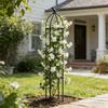 Jardinagem e paisagismo – Suporte de plantas