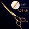 Forbici Professionali Fenice 6.25/6.75 Pollici per Toelettatura Animali con Lama Dentata a Seghetto Forbici per Animali per Cani Gatti JP440C