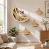 Wooden Wall Shelf with Set for Indoor Climbing, Perching and Resting