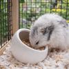 Ceramic Hamster Food Bowl Non-Slip Slanted-edged Small Animal Bowl Anti-Rollover Anti-Spill Guinea Pigs Food Dish