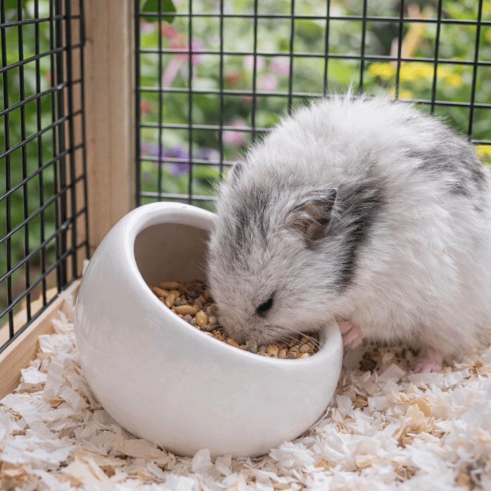 Ceramic Hamster Food Bowl Non-Slip Slanted-edged Small Animal Bowl Anti-Rollover Anti-Spill Guinea Pigs Food Dish