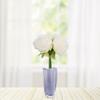 Artificial Flower Peony Fake Peony Artificial Peony Silk Peony Wedding Bouquet(White)